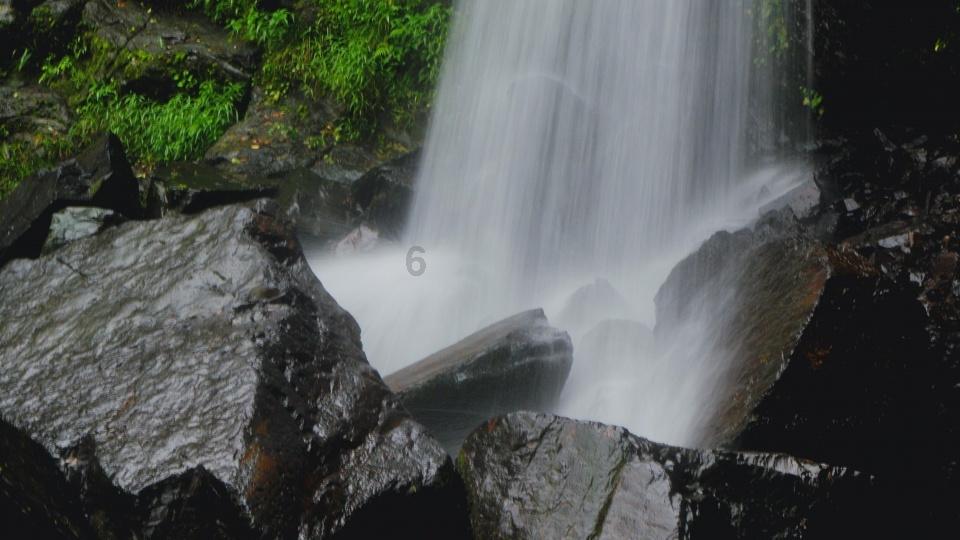 雷竞技比分